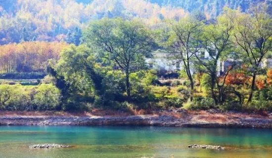 龙川县有多少人口_龙川县人民医院