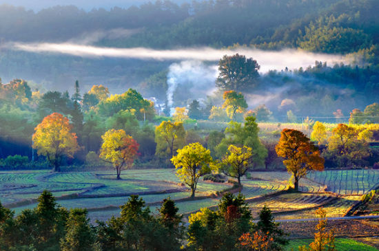 关于秋天 我只记得塔川_新浪旅游_新浪网