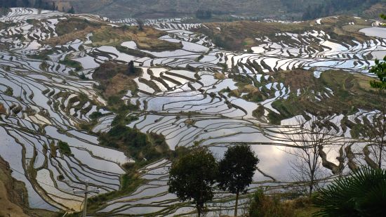 元阳最佳旅游季来了