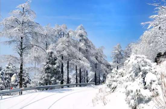 四明山看浪漫雪景   到吉林长白山看雾凇?不如来四明山吧!