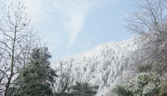 源雪景 :新浪博主/一朵美少女Y 源雪景 :新浪博主/一朵美少女Y