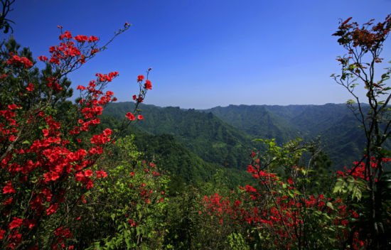 3月1日8日,天星国际温泉城(位于金佛山西麓)原价198元/人的温泉门票,女性游客只需38元/人,原价288元/人的温泉加金佛山景区门票,女性游客只需58元/人。 酉阳桃花源、龚滩古镇:38元购景区套票 3月5日8日,女性游客只需38元,即可游览桃花源和龚滩古镇两个景区,在此基础之上只需另加38元,即可乘坐游船游览乌江画廊或阿蓬江大峡谷景区。3月8日当天出生的女性游客,凭有效身份证,即可免费游览桃花源景区和龚滩古镇。 武隆:38元游三景区 看新版印象武隆 3月1日8日,所