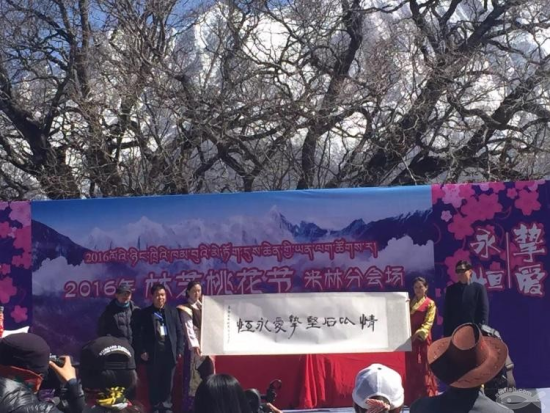 2016年林芝桃花节米林县分会场开幕式隆重举