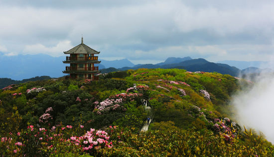 成都开通至重庆金佛山旅游直通车