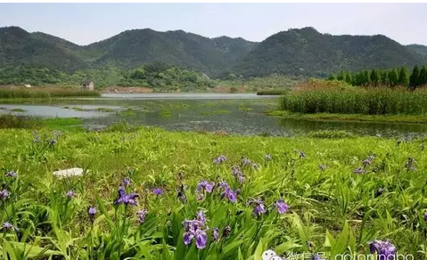 升级后的东钱湖马山