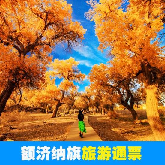个景区,这些门票原价合计要520元,而且这些都是去额济纳旗必去的景点