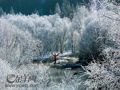 伊春旅行：深入小兴安岭腹地