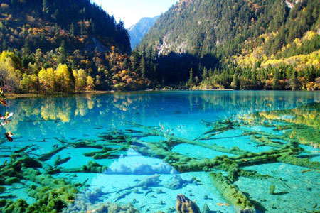 童话秋色九寨沟 十月金秋色彩正浓(图)