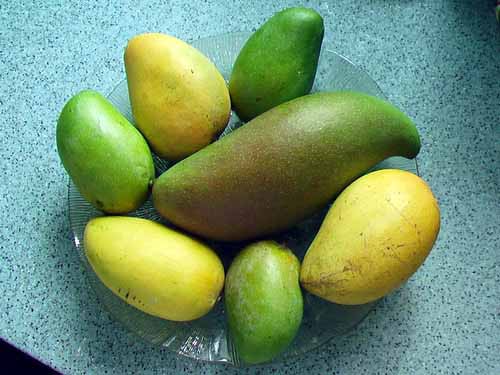 海南旅游_海南旅游攻略_海南旅游景点介绍_海