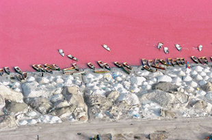 塞内加尔玫瑰湖 大西洋一抹温柔的粉红
