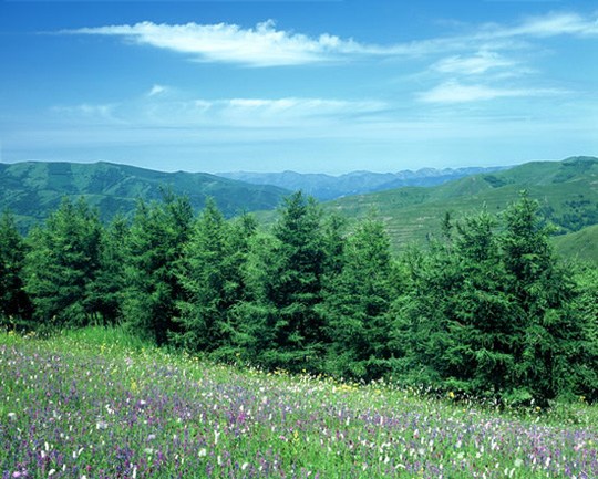 图文:崇礼的四季之夏季景色