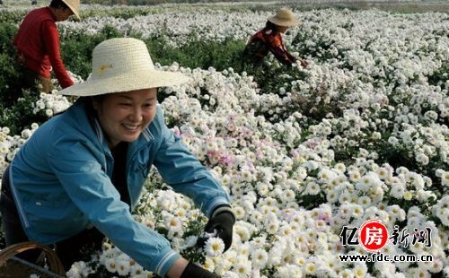 赏桂花看秋色 武汉周边最佳秋季景点自驾游攻