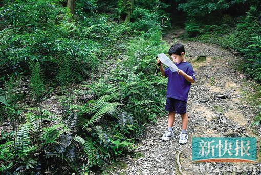 带上孩子野外探险 从化第二高峰鸡枕山徒步攻