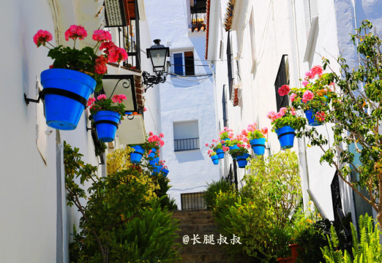 西班牙米哈斯 鲜花萦绕的白色天堂|西班牙|天堂|鲜花_新浪旅游_新浪网