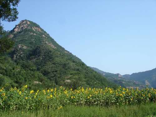 石头坪森林公园