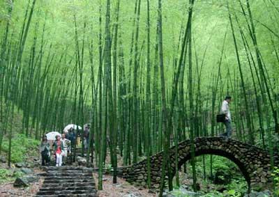 中国江苏无锡4A级景区宜兴竹海风景区