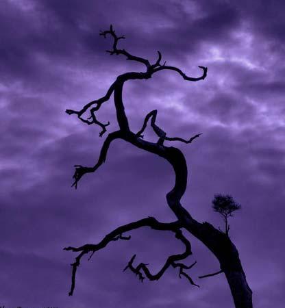 Life on Death Ĕzڸ၆ 