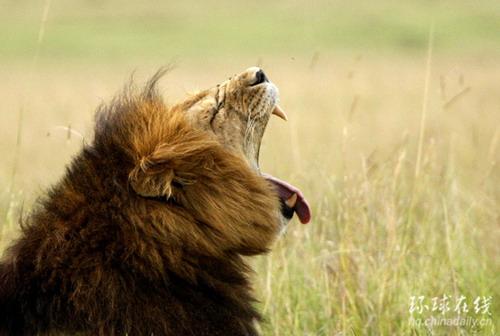 �������������