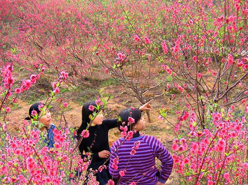 春暖花开 西樵山让我沉醉在民俗里(组图)