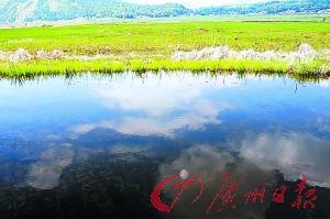 cDƬMһ