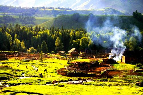 ��������