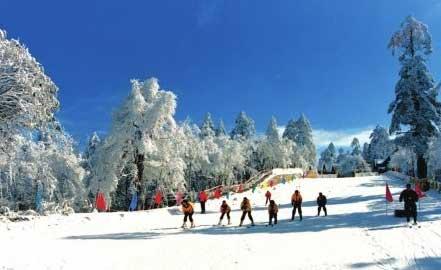 滑雪泡汤享安逸 四川五大适合冬游的景区(组图