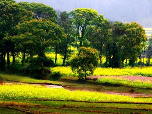 �������