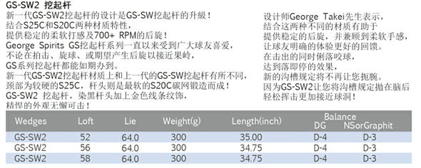 GS-SW (NS PRO950)