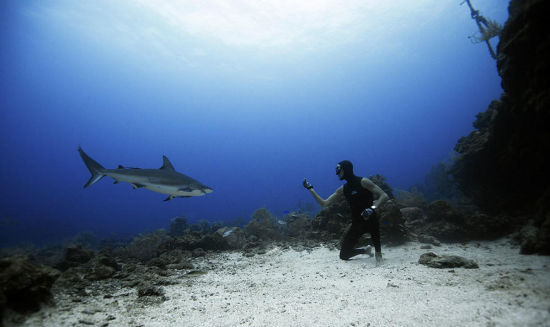 泰国夫妻自由潜水探秘深海 与鲨鱼共舞_空域-水域_新浪户外_新浪体育_新浪网