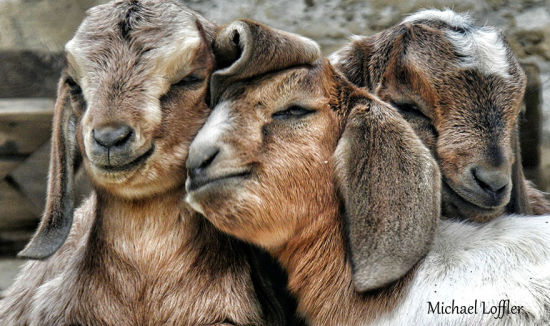 摄影师环球3年治抑郁症 普通相机记录旅途_越