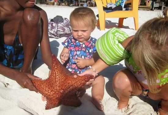 小家伙一脸嫌弃大海星。