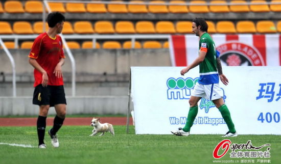 ������Ԯ��������ͼץסС��