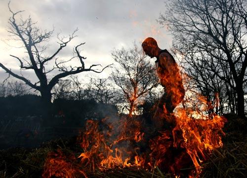 梦幻一跃飞扬歌剧院弯弓射大雕--GETTY年度十佳图