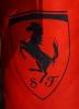 ͼ��-F1Ħ�ɸ�վ������ ��ɫ�ķ�����LOGO