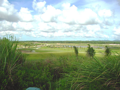 ����̫���Ӹ߶����򳡽���