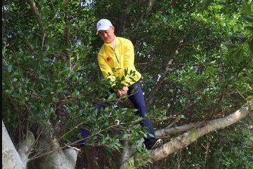 黄文义树上救球惊险刺激 告诫粉丝“切莫模仿”