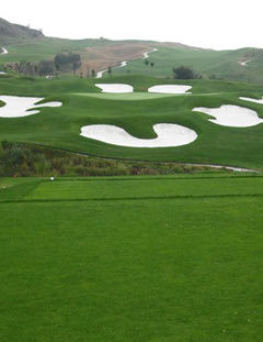 ɽ��÷԰���ʸ߶������