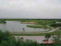 ��򾩽�߶�����ֲ�