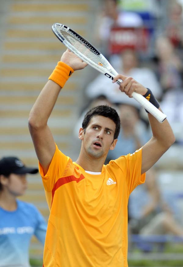 Novak Djokovic eliminates Victor Hanescu in two sets