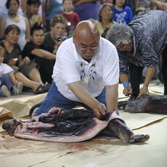 图文-爱斯基摩和印地安传统体育项目 剥海豹皮