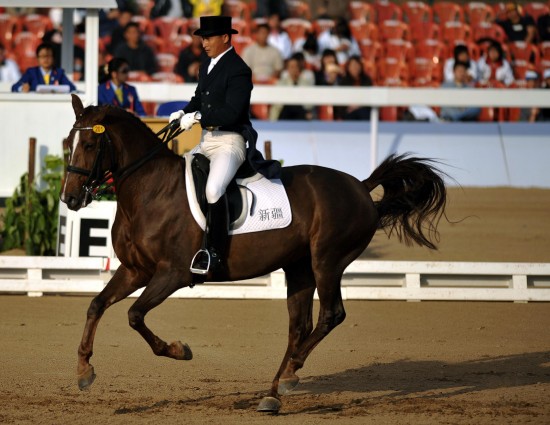 图文:—盛装舞步个人赛赛况