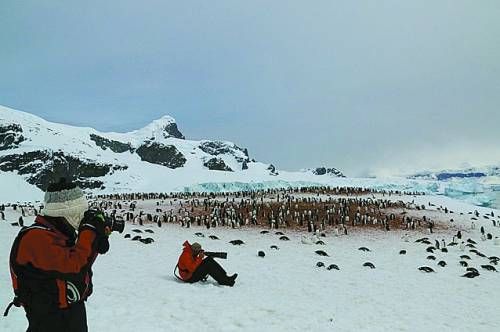 冬季南极旅游感受人与自然和谐之美_空域-水域_新浪户外_新浪体育_新浪网