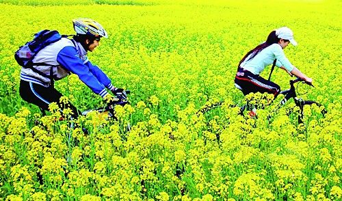 ÿ����ĩ��ʯ��ׯ����ɽǰ��Ծ��һ�Ӷ������ߣ���ɫ��ͷ������Ұ��Ʈ����