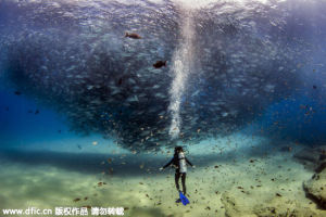 美国夫妇墨西哥潜水遇鱼群龙卷风场面震撼