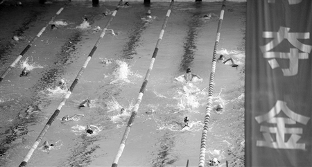 竞技游泳源于英国及澳洲