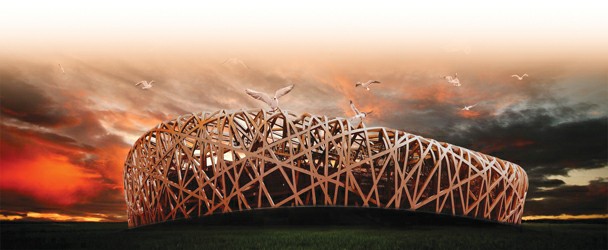 北京奥运一年庆鸟巢开出小奇葩 奥运元素无处