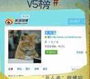 V5�� �������ࡱ΢����