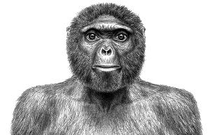 始祖地猿图片