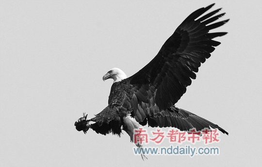 20100317070518.jpg