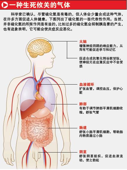 人体的36个致命部位图片